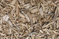 biomass boilers Gollawater